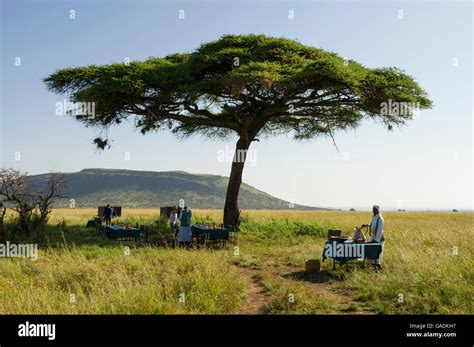 Bush Safari Hi Res Stock Photography And Images Alamy