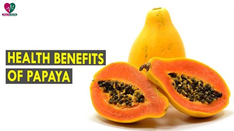 Health Benefits Of Papaya Health Sutra Best Health Tips Youtube