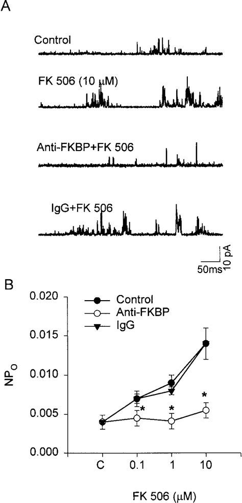 A Effect Of Fk On Reconstituted Ryr Ca Channel Activity Of