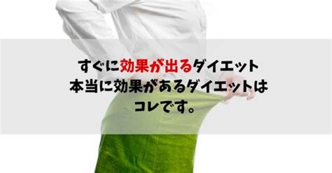 すぐに効果が出るダイエット 本当に効果があるダイエットはコレです。 Take Blog