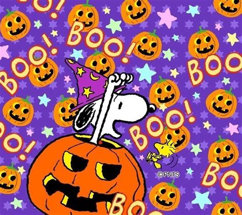 Pin By Linda Hendricks On SnOOpY In 2024 Snoopy Halloween Snoopy