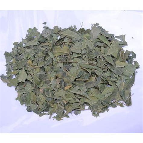 Green Dry Herbal Neem Leaves Medicine Grade Packaging Size 50kg Per