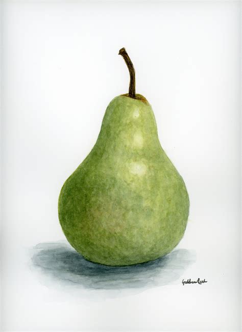 Realistic Pear Fruit Watercolor Painting Giclee Archival Print Still ...