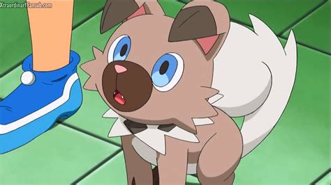 Rockruff Dog Pokemon Rockruff Pokemon Cute Pokemon