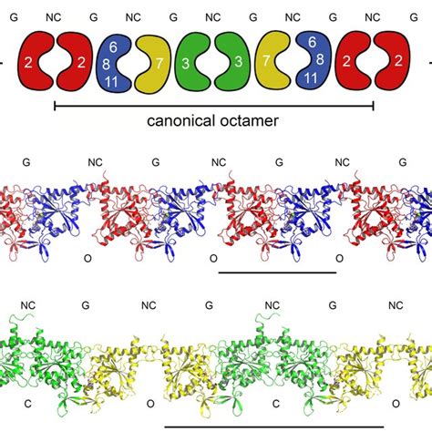 Filaments form in all crystal structures. (a) shows the canonical... | Download Scientific Diagram