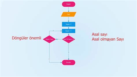 8 Algoritma Ve Akış Diyagramı Asal Sayı Youtube