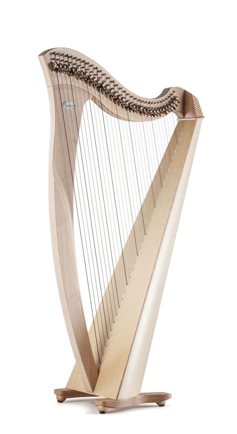 Student Lever Harp Collection - Salvi Harps