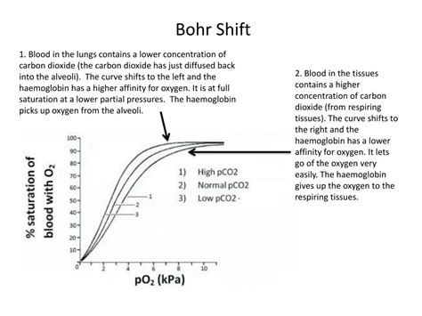 Ppt Oxygen Dissociation Curve Of Haemoglobin Powerpoint Presentation