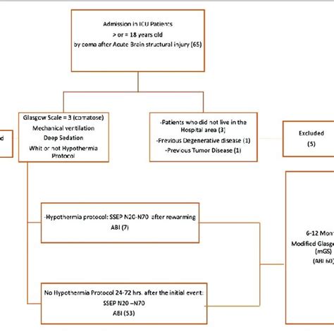 Diagnostic Accuracy Of Somatosensory Evoked Potentials Ssep N And