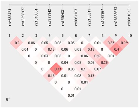 Pairwise Linkage Disequilibrium Plot For The Snv R Represents The