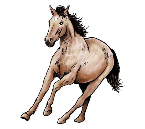 horse steed stallion  photo  pixabay pixabay