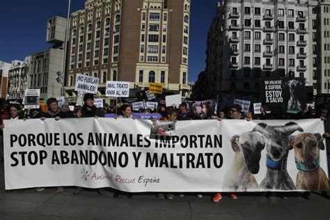 Fotos Cazadores Y Animalistas Protestan En Media España Por La Ley De