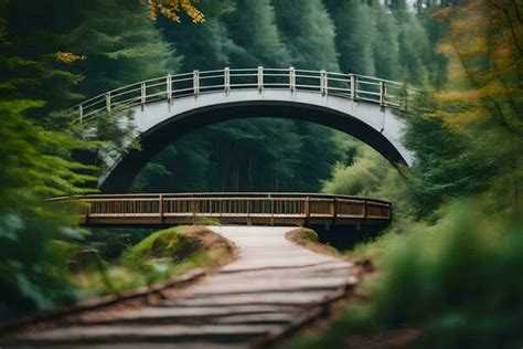 Forest Bridge Stock Photos, Images and Backgrounds for Free Download