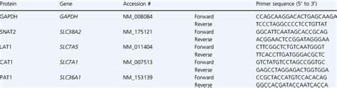 Mouse Primer Sequences Used For Real Time Qpcr Download Table