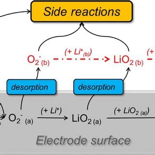 Reaction Scheme For The Oxygen Reduction Reaction In A Li Air Cell The