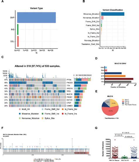 MUC16 Frequently Mutates In Endometrial Cancer Exome Sequencing Data