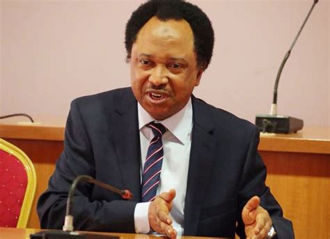 Shehu Sani Alleges Plot By Northern Politicians To Unseat Tinubu In