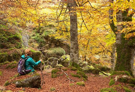 Instantes fotos de Sebastián Navarrete Paisajes otoñales 22 destinos