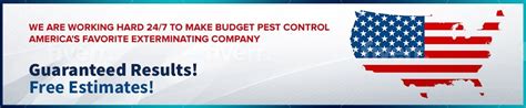 Pittsburgh Bald Faced Hornet Control Exterminator Budget Pest Control