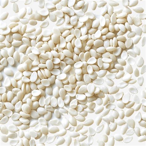 White Sesame Seed Pattern Sesame Sesame Seed Transparent Png