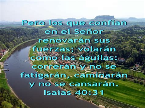 Biblia Paisajes Y Maravillas Isaías 40 31