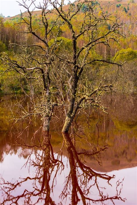 Water Pollution with Iron and Residual Mine from Cooper Mine, Romania Stock Image - Image of ...