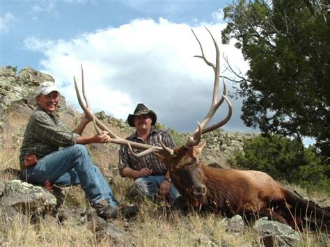 White Mountain: Elk Hunting White Mountain Apache Reservation