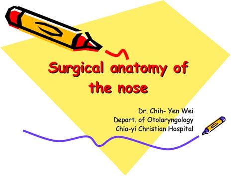 Surgical Anatomy Of The Nose Ppt