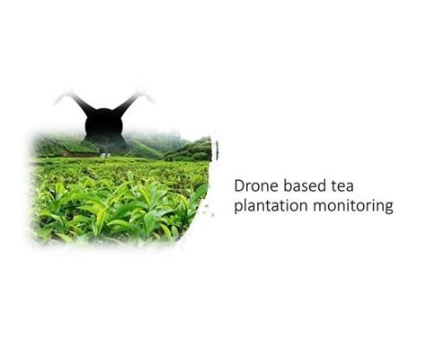 Detection Of Health Of Tea Plantation Using Autonomous Drones Intel Devmesh Avirup Basu 02