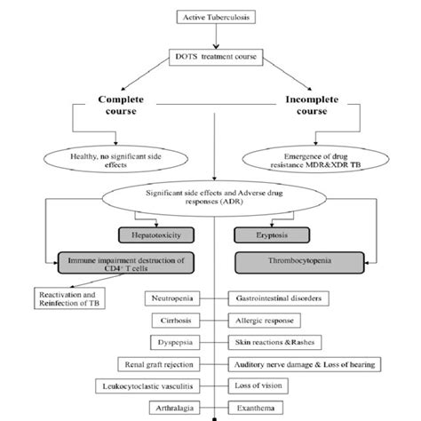 Who Classification Of First And Second Line Anti Tb Drugs And