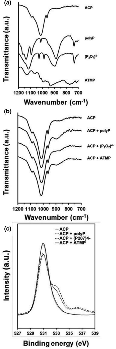 Ftir And Xps Spectra Of The Acp Nanoparticles Prepared In This Work A Download Scientific