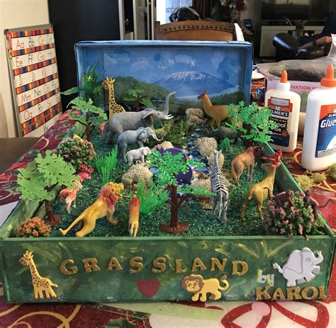 Grassland Ecosystem Diorama