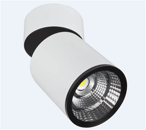 10w20w30w Suspended Surface Mounted Adjustable Down Spotlight Ra90