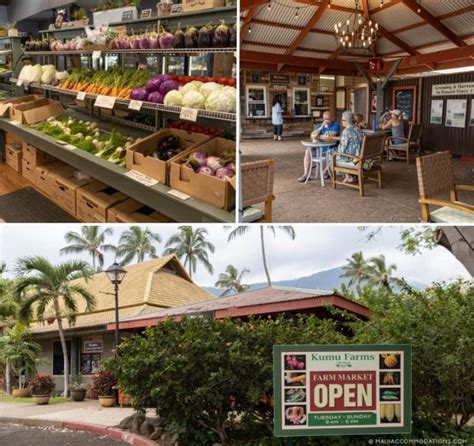 The Ultimate Guide To Farmers Markets And Fruit Stands On Maui Maui