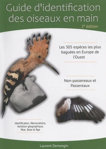 Guide D Identification Des Oiseaux En Main Les Laurent Demongin