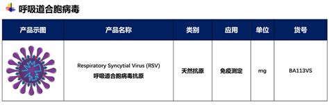 维润赛润•德国