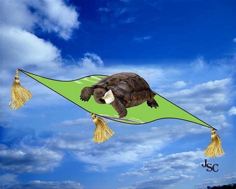 Flying Turtle Digital Art by Jose C Solis - Pixels