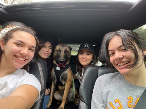 Laredo Animal Protective Society hosts Valentine's Doggy Date event
