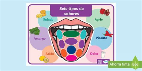 Afiche Seis Tipos De Sabores En La Lengua Twinkl Twinkl