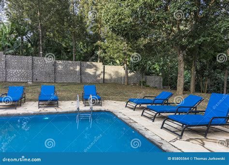 Swimming-pool in Resort Hotel in Tanzania Stock Photo - Image of grass, poll: 85805564