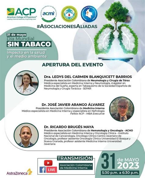 Abordar N Impacto Del Cigarrillo En La Salud Y Medio Ambiente Reporte