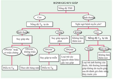 Suy giáp nguyên lý chẩn đoán điều trị