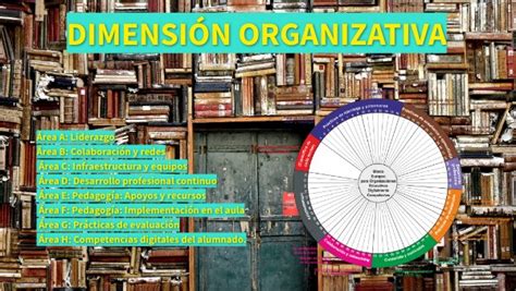 Dimensi N Organizativa