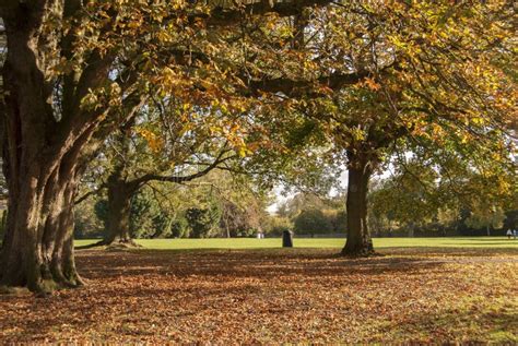 Dysart Park Landscape In The Fallgranthamuk Stock Photo Image Of