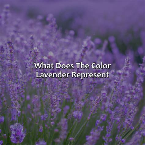 What Does The Color Lavender Represent