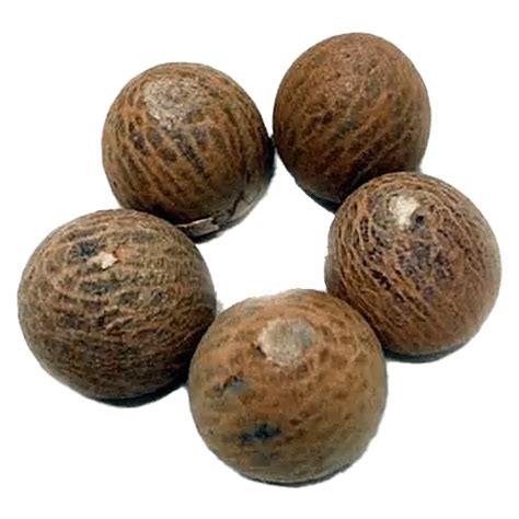 Buy Fresho Betel Nut Online At Best Price Of Rs Null Bigbasket