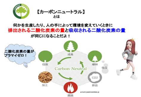 【カーボンニュートラル】気候変動に具体的な対策を｜sekaibusdgs