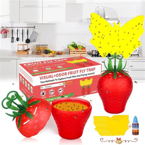 Fruit Fly Traps For Indoorseffective Fruit Fly Killer Catcher Gnat Trap With