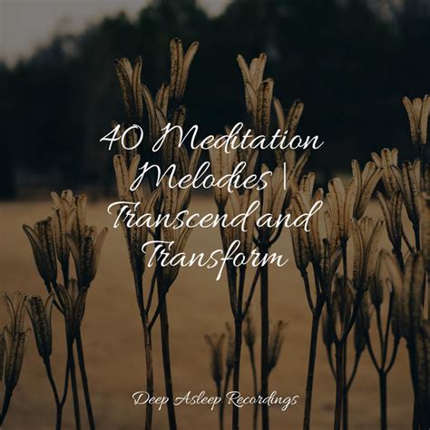 40 Meditation Melodies Transcend And Transform Album By Academia De