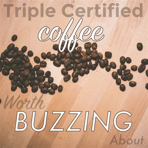 Triple Certified Coffee Worth Buzzing About Coffee Company Things To